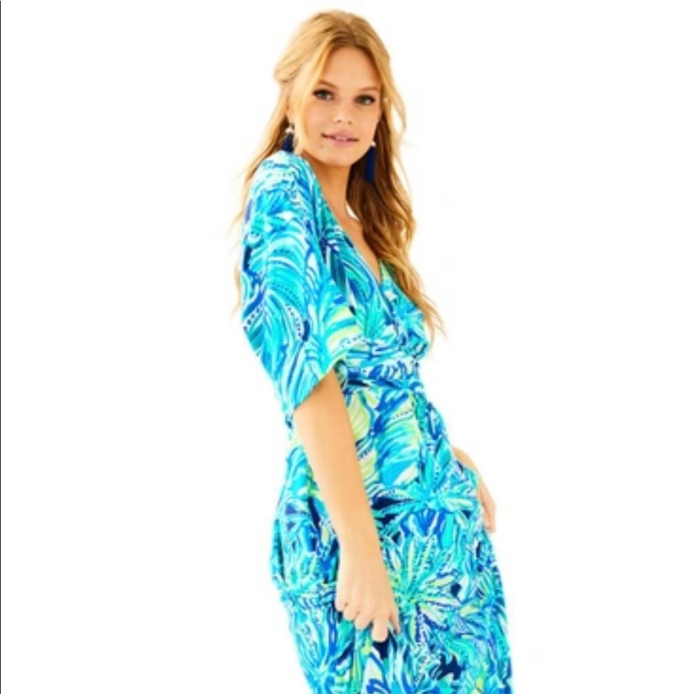 Lily Pulitzer Parigi Maxi dress